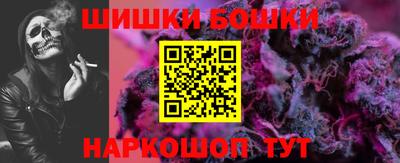 spice Кингисепп