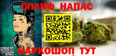 spice Кингисепп