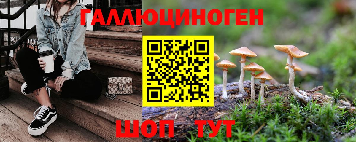 Котлас  Галлюциногенные грибы MAGIC MUSHROOMS  Вход с VPN  дарнет шоп  Галлюциногенные грибы мицелий 