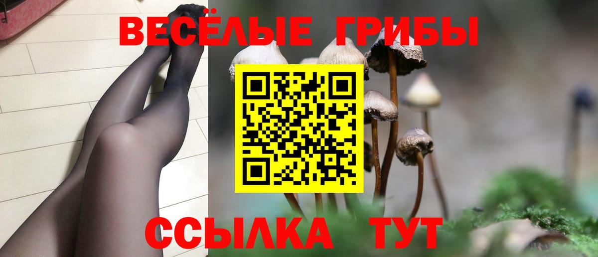 Галлюциногенные грибы Cubensis Котлас